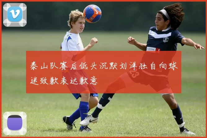 泰山队赛后低头沉默刘洋独自向球迷致歉表达歉意